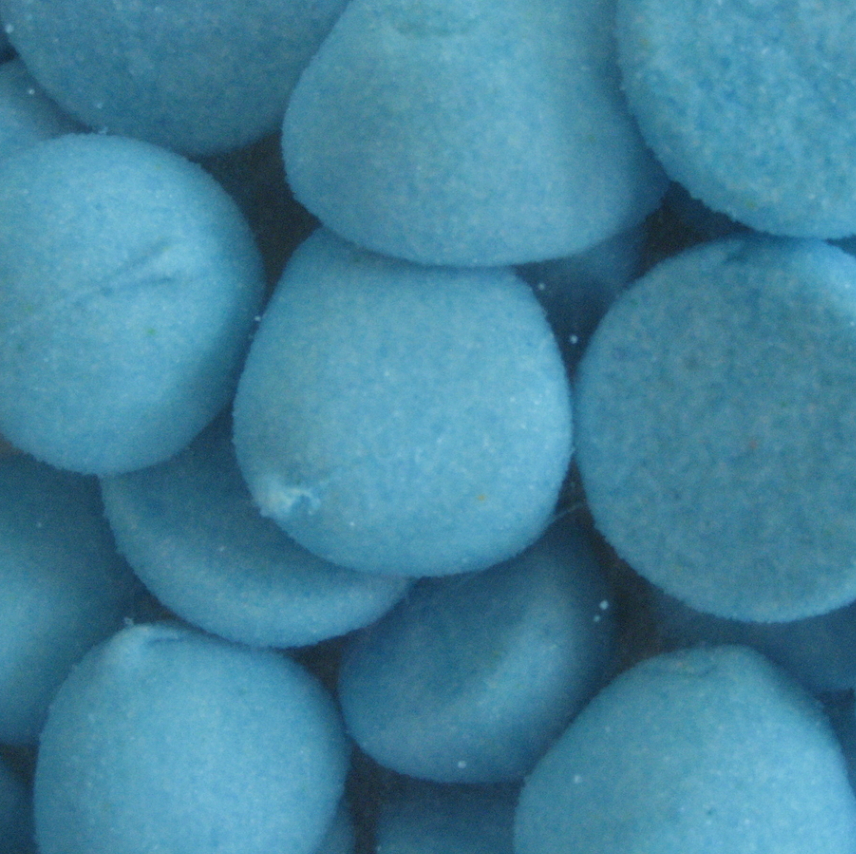Spekbollen Blauw (Bosbes)