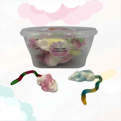 Freeze Dried Vruchtenmuizen