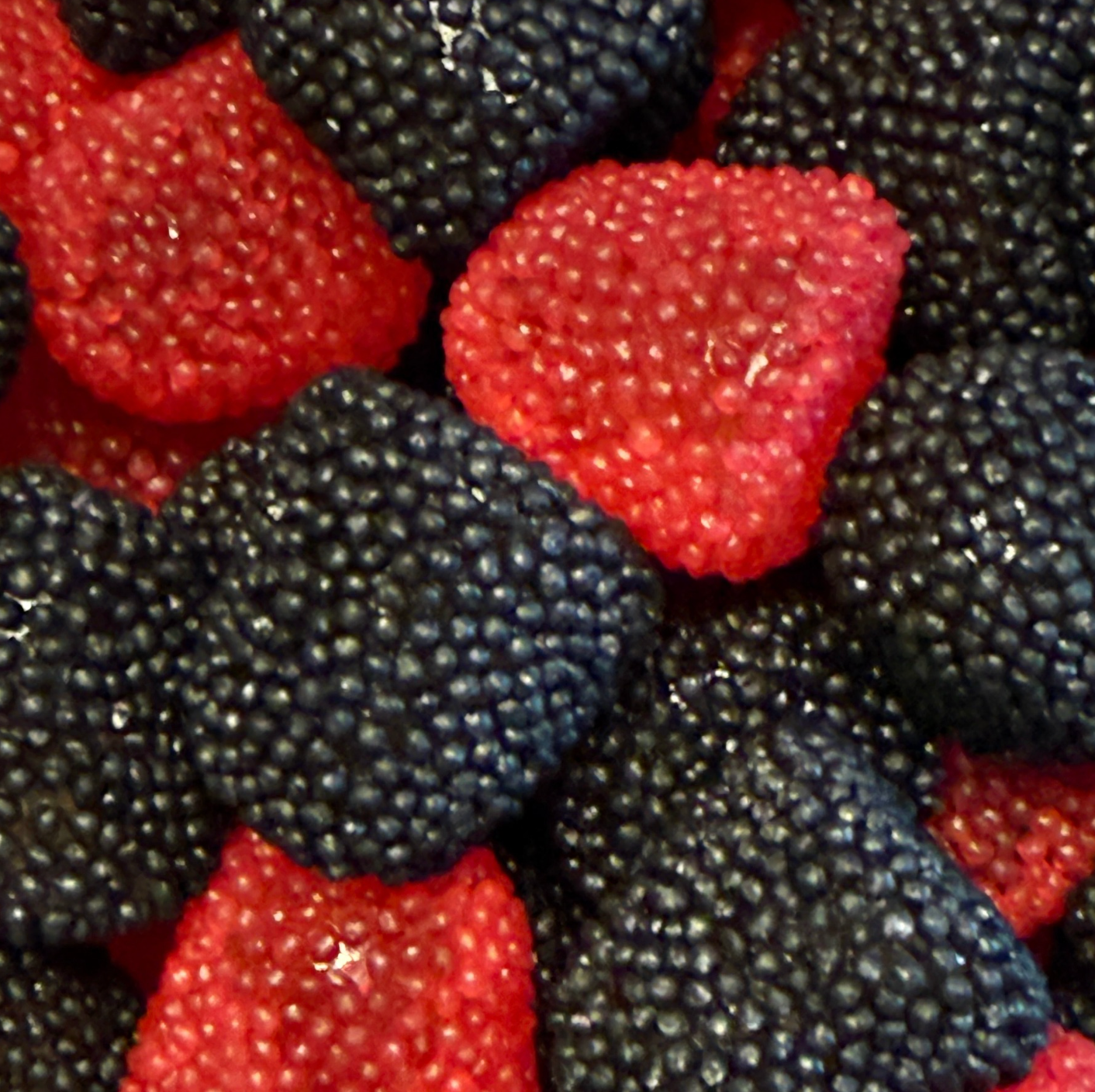 Berries Rood/Zwart